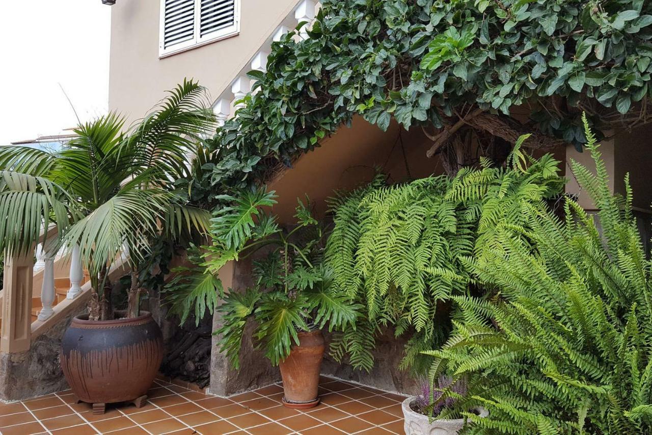 Orotava Garden House Perfect For Families Villa La Orotava Bagian luar foto