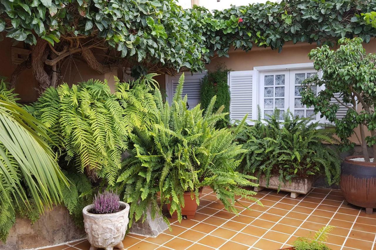 Orotava Garden House Perfect For Families Villa La Orotava Bagian luar foto